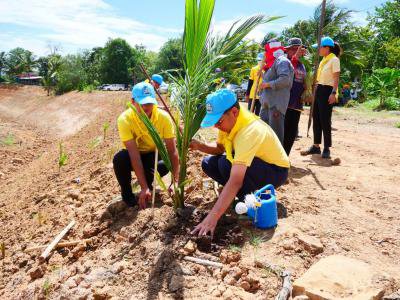 โครงการส่งเสริมการปลูกป่าเนื่องในวันเฉลิมพระชนมพรรษา ครบ 71 พรรษาฯ