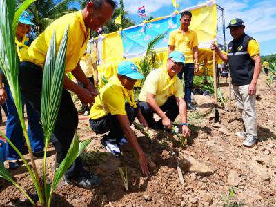 โครงการส่งเสริมการปลูกป่าเนื่องในวันเฉลิมพระชนมพรรษา ครบ 71 พรรษาฯ