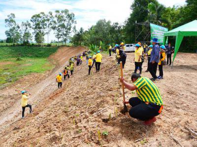 โครงการส่งเสริมการปลูกป่าเนื่องในวันเฉลิมพระชนมพรรษา ครบ 71 พรรษาฯ