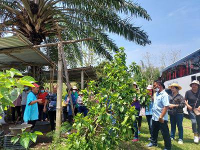 โครงการสร้างอาชีพสร้างรายได้ตามแนวเศรษฐกิจพอเพียง ประจำปีงบประมาณ พ.ศ.2566