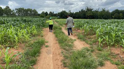 กองช่างลงพื้นที่สำรวจความเสียหายถนนในหมู่บ้าน เพื่อดำเนินการซ่อมแซมฯ