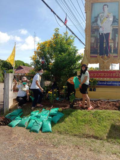 กิจกรรมปลูกต้นดอกดาวเรือง หน้าที่ทำการ อบต. เพื่อปรับปรุงภูมิทัศน์
