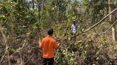 ตรวจสอบพื้นที่อนุรักษ์ชุมชนหินดาด บ้านปอแดง ม.4