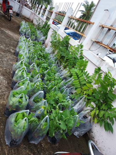 โครงการส่งเสริมการขับเคลื่อนตามหลักปรัชญาเศรษฐกิจพอเพียงฯ ประจำปีงบประมาณ 2564