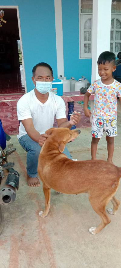 โครงการฉีดวัคซีนป้องกันโรคพิษสุนัขบ้าฯ ประจำปี 2564