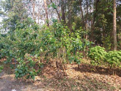 โครงการจัดทำฐานข้อมูลทรัพยากรท้องถิ่นตำบลภูหลวง ประจำปี 2564
