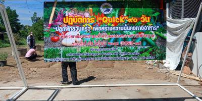ปลูกผักสวนครัว ตามโครงการสนับสนุนขับเคลื่อนหมู่บ้านตามหลักปรัชญาเศรษฐกิจพอเพียงฯ