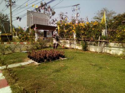 ปรับปรุงภูมิทัศน์หน้าที่ทำการ อบต.ภูหลวงฯ