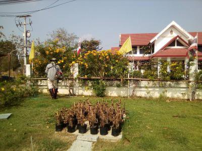 ปรับปรุงภูมิทัศน์หน้าที่ทำการ อบต.ภูหลวงฯ