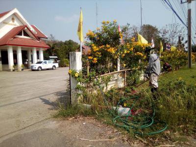 ปรับปรุงภูมิทัศน์หน้าที่ทำการ อบต.ภูหลวงฯ