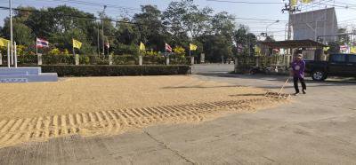 อบต.ภูหลวง อำนวยพื้นที่ในการตากข้าว