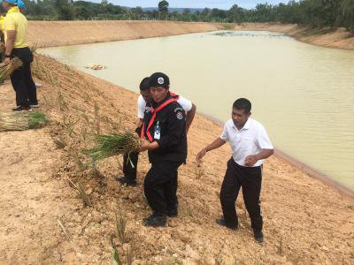 โครงการส่งเสริมการปลูกหญ้าแฝกฯ ประจำปี 2562