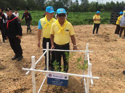 โครงการส่งเสริมการปลูกหญ้าแฝกฯ ประจำปี 2562