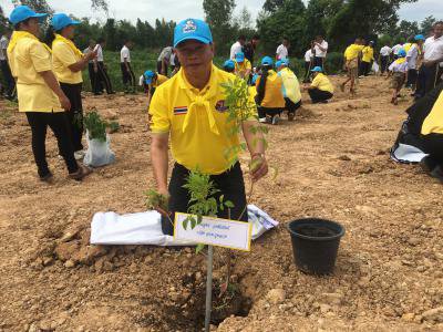 โครงการส่งเสริมการปลูกหญ้าแฝกฯ ประจำปี 2562