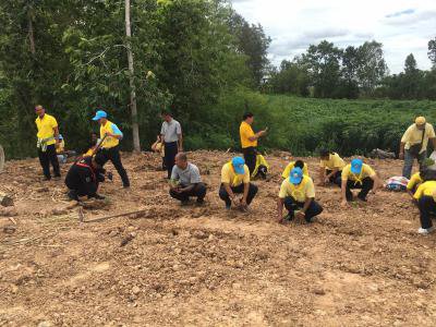 โครงการส่งเสริมการปลูกหญ้าแฝกฯ ประจำปี 2562