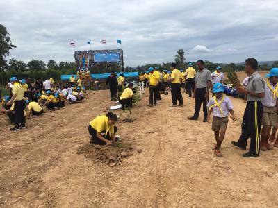 โครงการส่งเสริมการปลูกหญ้าแฝกฯ ประจำปี 2562