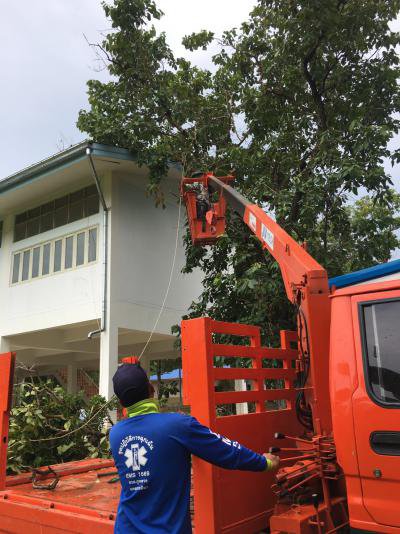 ร่วมกิจกรรมจิตอาสาฯ