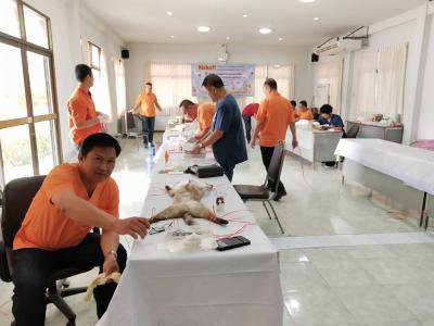 โครงการรณรงค์ฉีดวัคซีนป้องกันโรคพิษสุนัขบ้าฯ