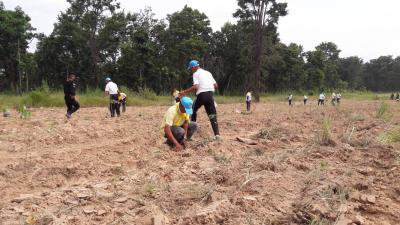 โครงการปลูกป่าชุมชนตำบลภูหลวง
