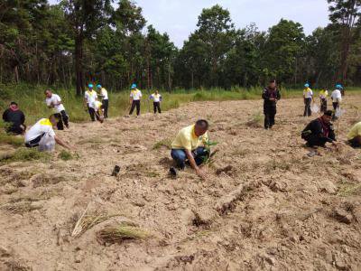 โครงการปลูกป่าชุมชนตำบลภูหลวง