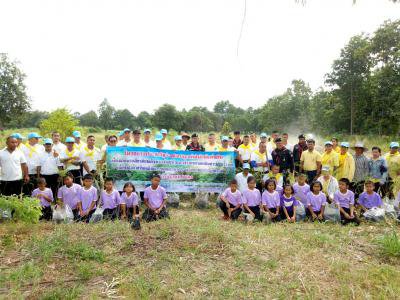 โครงการปลูกป่าชุมชนตำบลภูหลวง