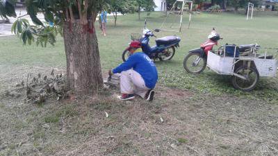 งานป้องกันฯ ล้างถนนและตัดต้นไม้โรงเรียนบ้านหลุมเงิน