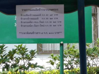 กิจกรรมเทศกาลข้าวใหม่