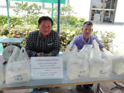 กิจกรรมเทศกาลข้าวใหม่