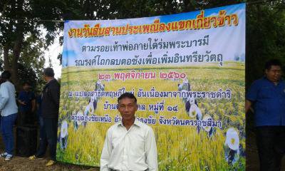 ร่วมงานลงแขกเกี่ยวข้าว แปลงสาธิตการเกษตรทฤษฎีใหม่ฯ