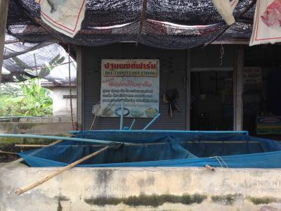 งานจัดเก็บรายได้ ออกสำรวจภาษี บ้านหนองกก ม.7ฯ 