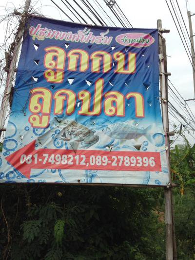 งานจัดเก็บรายได้ ออกสำรวจภาษี บ้านหนองกก ม.7ฯ 