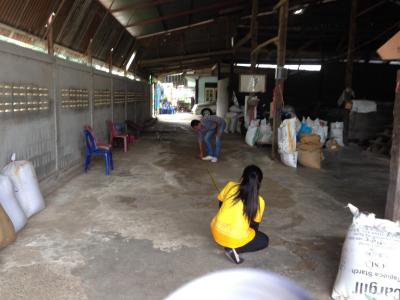 งานจัดเก็บรายได้ ออกสำรวจภาษี บ้านหนองกก ม.7ฯ 