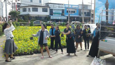 มอบต้นกล้าดาวเรืองให้อำเภอปักธงชัยฯ