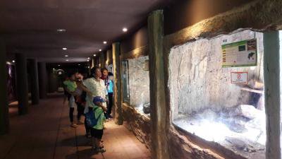 โครงการเรียนรู้นอกสถานที่ฯ ศพด.สังกัด อบต.ภูหลวง ปี 2560