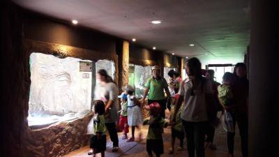 โครงการเรียนรู้นอกสถานที่ฯ ศพด.สังกัด อบต.ภูหลวง ปี 2560