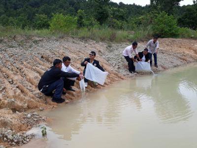 ปล่อยปลาสระน้ำสาธารณะพื้นที่ อบต.ภูหลวง