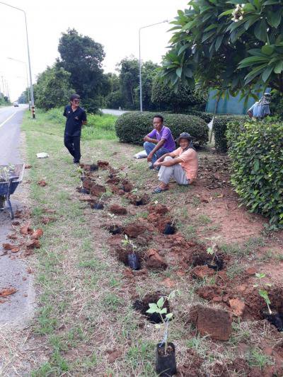 ปรับปรุงภูมิทัศน์หน้า อบต.ภูหลวง