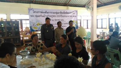 โครงการส่งเสริมการรวมกลุ่มอาชีพเพื่อพัฒนารายได้ของกลุ่มสตรีแม่บ้านตำบลภูหลวง ประจำปีงบประมาณ 2560
