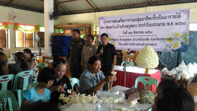 โครงการส่งเสริมการรวมกลุ่มอาชีพเพื่อพัฒนารายได้ของกลุ่มสตรีแม่บ้านตำบลภูหลวง ประจำปีงบประมาณ 2560