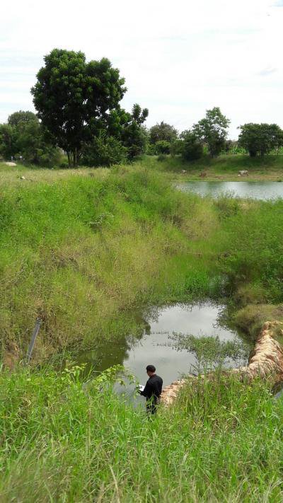 สำรวจทางน้ำเข้าอ่างประปาบ้านหนองกก หมู่ 7