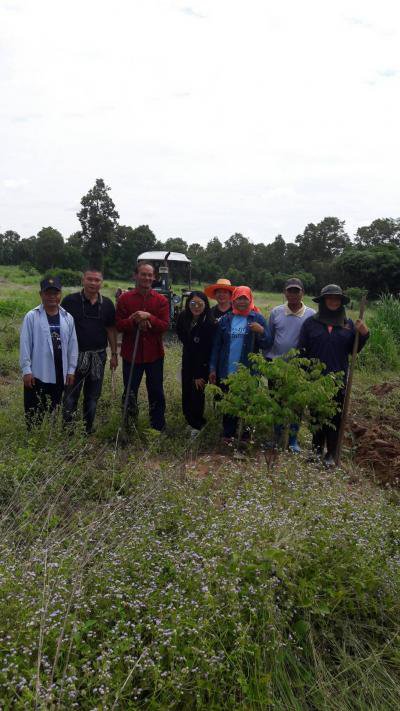 ปลูกป่าบำรุงรักษาต้นไม้ ต.ภูหลวง
