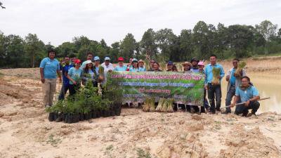 อบต.ภูหลวงดำเนินการส่งเสริมการปลูกหญ้าแฝกตามแนวพระราชดำริ ประจำปี  2559