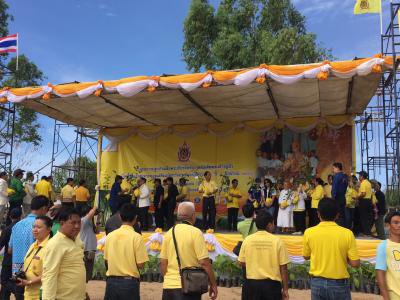อบต.ภูหลวงร่วมปลูกป่าเฉลิมพระเกียรติฯ  