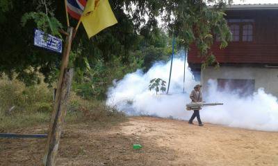 รณงค์ป้องกันโรคไข้เลือดออกฯ
