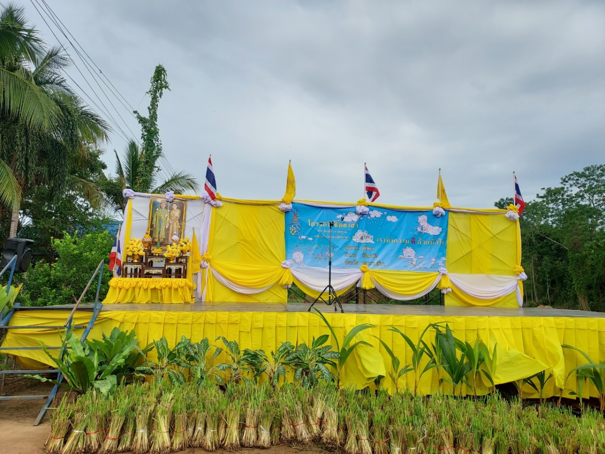 โครงการส่งเสริมการปลูกหญ้าแฝกตามแนวพระราชดำริ ประจำปี 2566