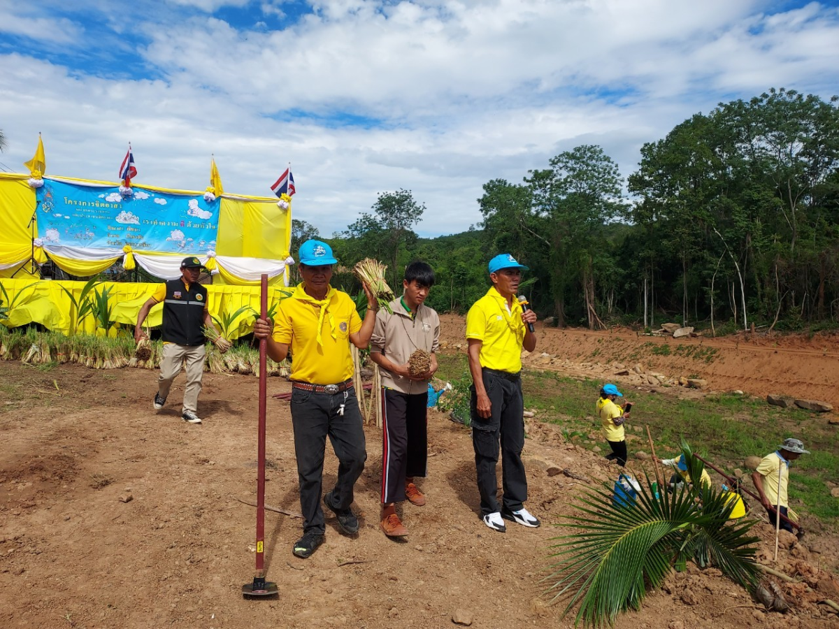 โครงการส่งเสริมการปลูกหญ้าแฝกตามแนวพระราชดำริ ประจำปี 2566