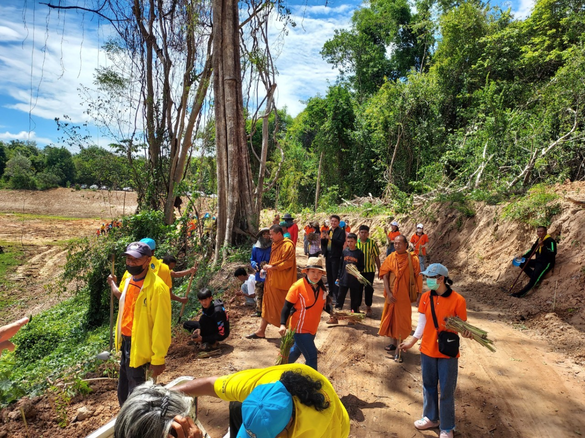 โครงการส่งเสริมการปลูกหญ้าแฝกตามแนวพระราชดำริ ประจำปี 2566