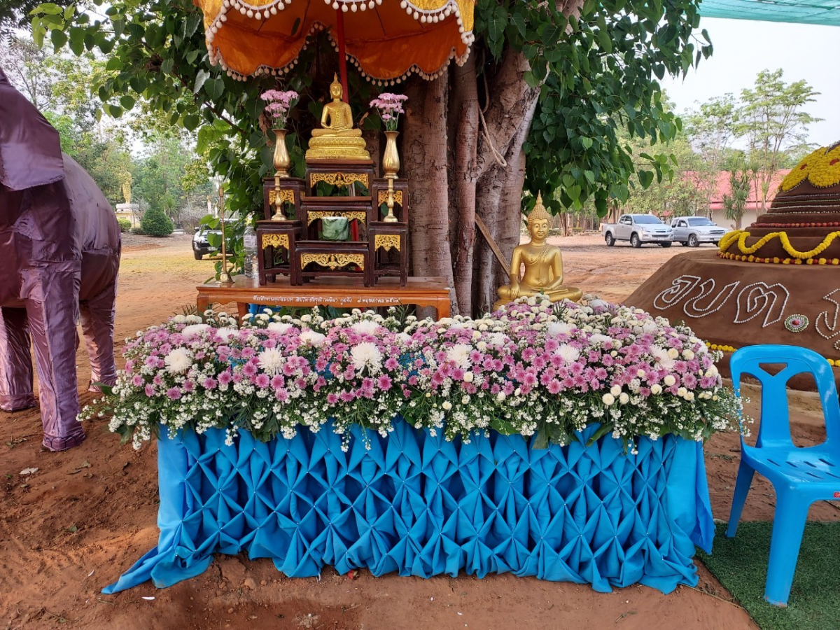 โครงการจัดงานวันสงกรานต์และวันผู้สูงอายุ ประจำปี 2566