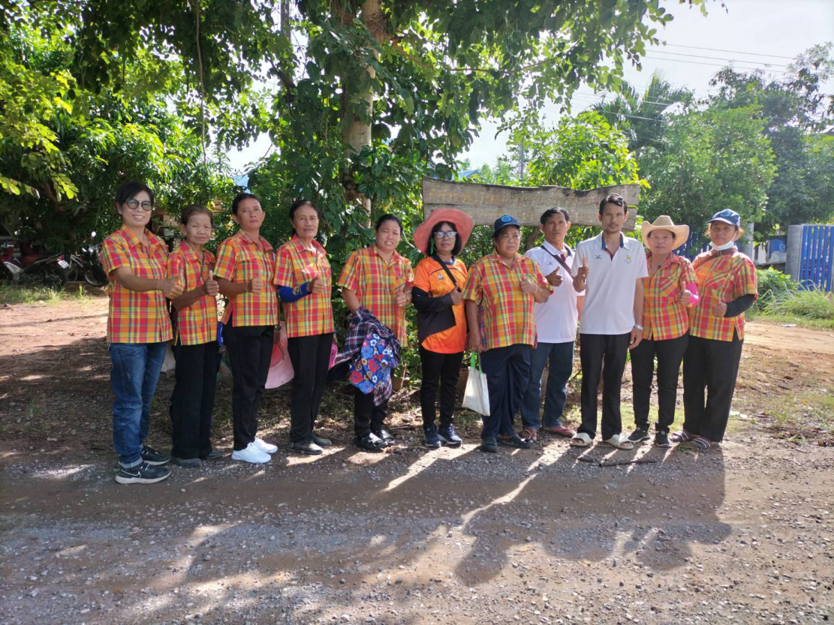 โครงการรณรงค์ป้องกันการแพร่ระบาดของโรคไขเลือดออก (พ่นหมอกควัน) บ้านหนองหว้า หมู่ 8