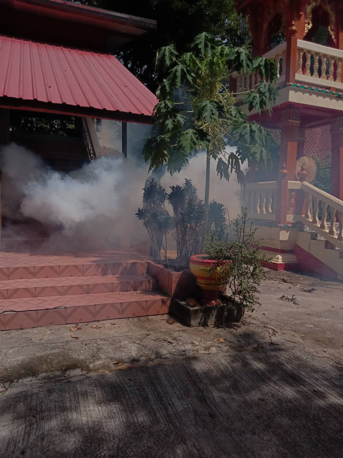 โครงการรณรงค์ป้องกันการแพร่ระบาดของโรคไขเลือดออก (พ่นหมอกควัน) บ้านหนองหว้า หมู่ 8